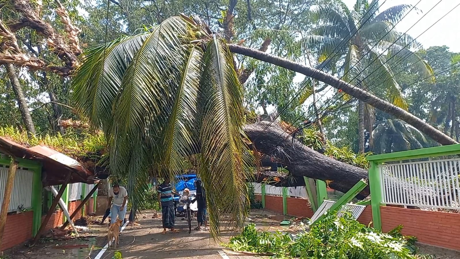 ভোলায় কালবৈশাখী ঝড়ে ক্ষয়ক্ষতি