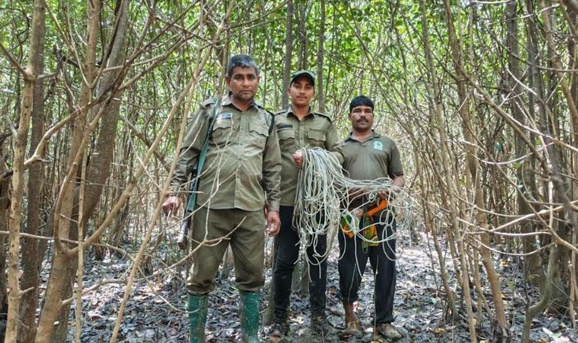 সাতক্ষীরায় সুন্দরবনে হরিণ শিকারে ফাঁদ জব্দ 