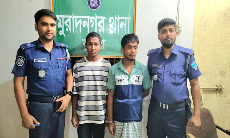 কুমিল্লায় গাঁজাসহ দুই সহোদর গ্রেপ্তার