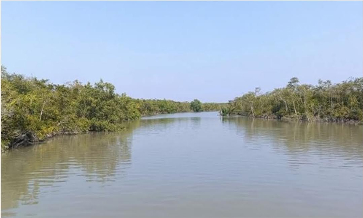 সাতক্ষীরা রেঞ্জে জলদস্যুর হাতে ২২ জেলে অপহৃত