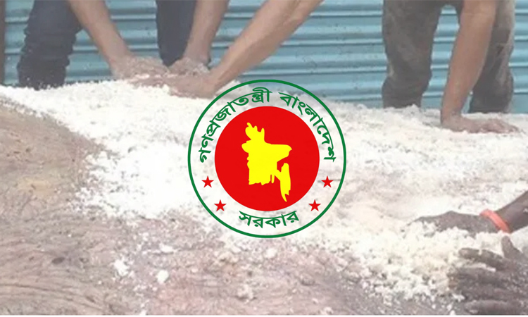 চামড়া সংরক্ষণে গ্রাম-উপজেলা পর্যায়ে বিনামূল্যে লবণ দেবে সরকার