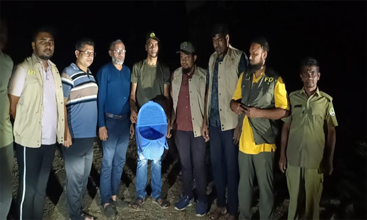 কাপ্তাই উদ্যানে বিপন্ন প্রজাতির লজ্জাবতী বানর অবমুক্ত