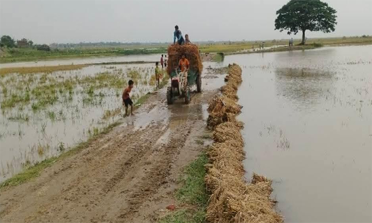 কিশোরগঞ্জে নদ-নদীর পানি কমেছে