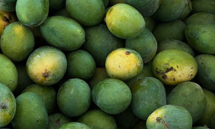 সাতক্ষীরার ১০০ মেট্রিক টন আম যাবে বিদেশে