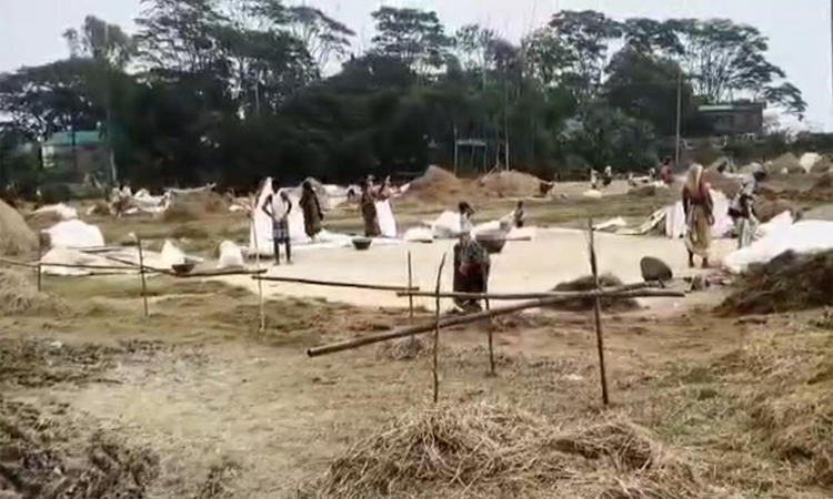 টানা বৃষ্টির পর রোদ ওঠায় হবিগঞ্জে ফিরেছে কর্মচাঞ্চল্য