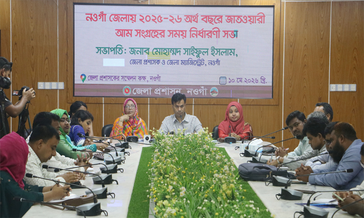 নওগাঁয় ২২ মে থেকে আম সংগ্রহ শুরু
