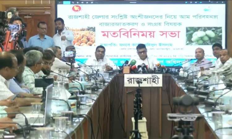 রাজশাহীতে ১৫ মে থেকে আম সংগ্রহ শুরু