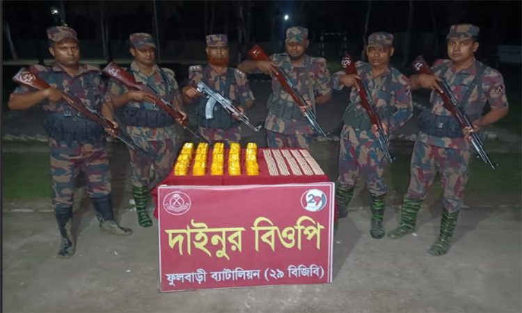 দিনাজপুর সীমান্তে বিজিবির অভিযান, মাদকদ্রব্য উদ্ধার