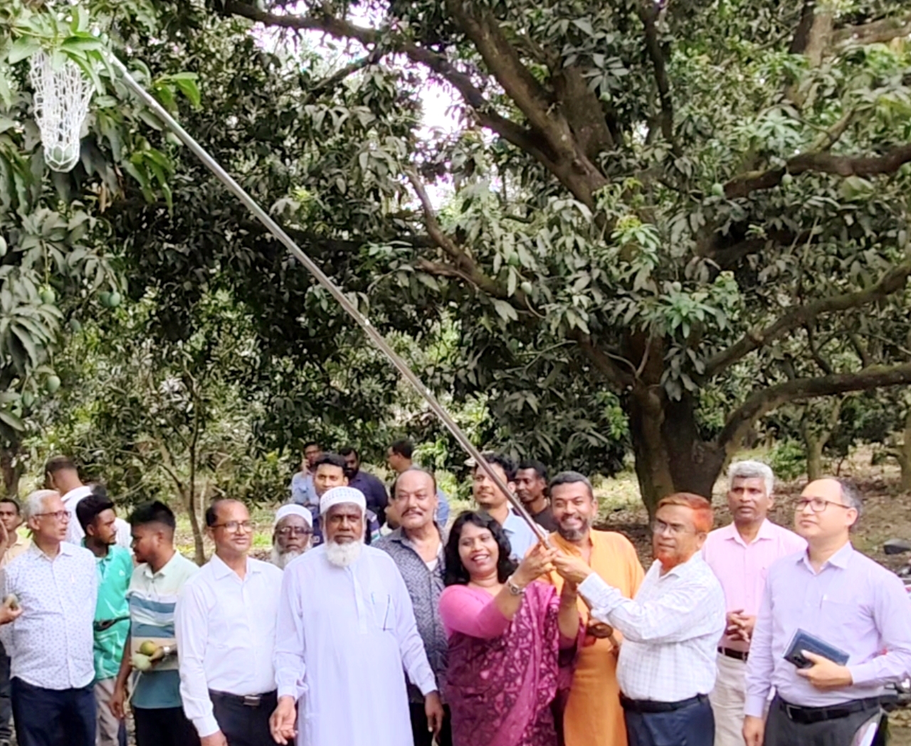 চুয়াডাঙ্গায় আম সংগ্রহ অভিযানের উদ্বোধন