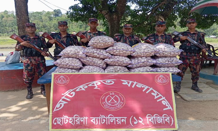 রাঙ্গামাটি সীমান্তে ভারতে পাচারকালে বিপুল পরিমাণ রসুন আটক