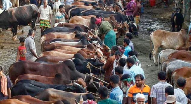 রাস্তার ওপর কোরবানির হাট বসানো যাবে না : খুলনার ডিসি