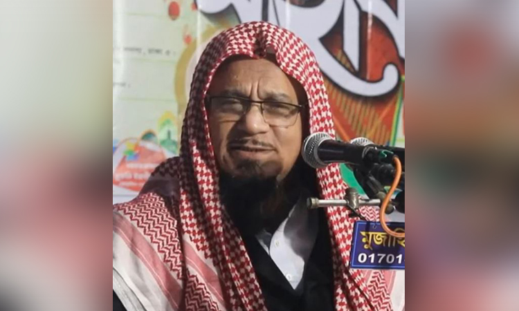 ইসলামিক ফাউন্ডেশনের নতুন মহাপরিচালক হলেন মুহিববুল্লাহিল বাকী