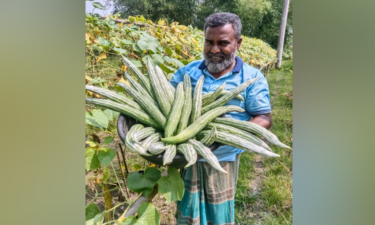 ভার্মি কম্পোস্ট ব্যবহারে কমছে উৎপাদন খরচ, বাড়ছে লাভ