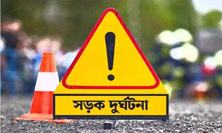 মেহেরপুরে সড়ক দুর্ঘটনায় দুই যুবক নিহত
