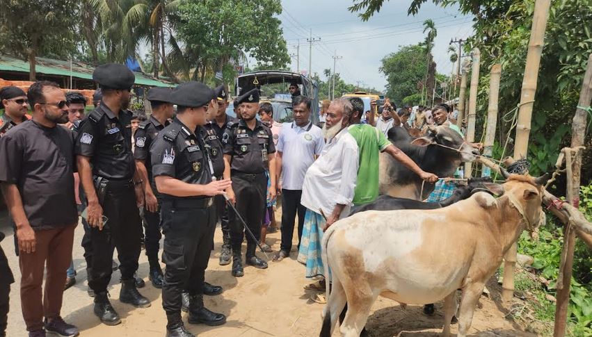 কক্সবাজারে পশুর হাটগুলোতে র্যাবের নিরাপত্তা জোরদার