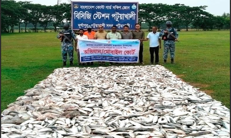 সামুদ্রিক সম্পদ রক্ষায় পটুয়াখালীতে কোস্ট গার্ডের অভিযান