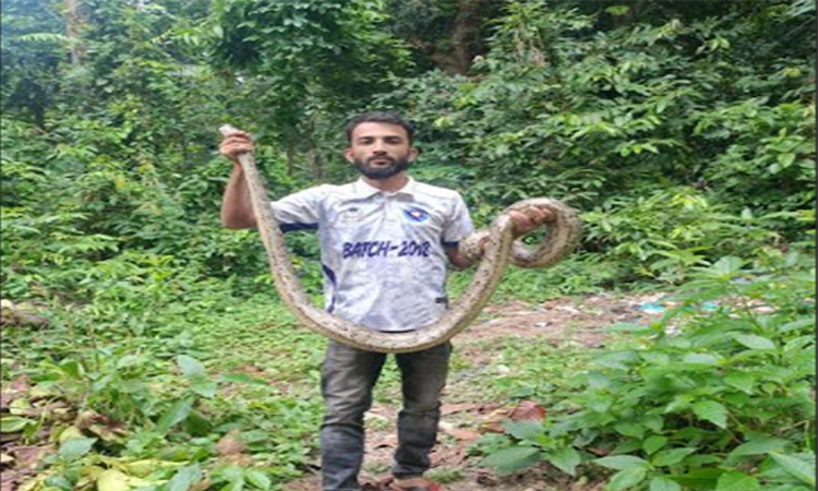 বোয়ালখালীতে লাকড়ি রাখার ঘরে মিলল অজগর