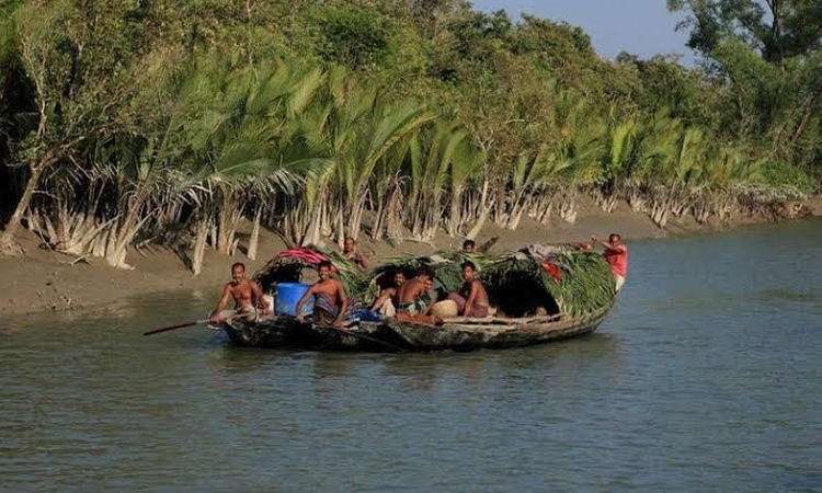 প্রজনন সুরক্ষায় টানা তিন মাস সুন্দরবনে প্রবেশ নিষিদ্ধ