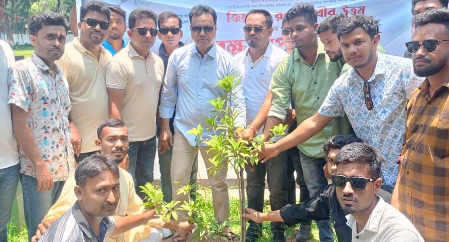 শহীদ জিয়ার শাহাদাতবার্ষিকী উপলক্ষে খুলনা ছাত্রদলের বৃক্ষরোপন
