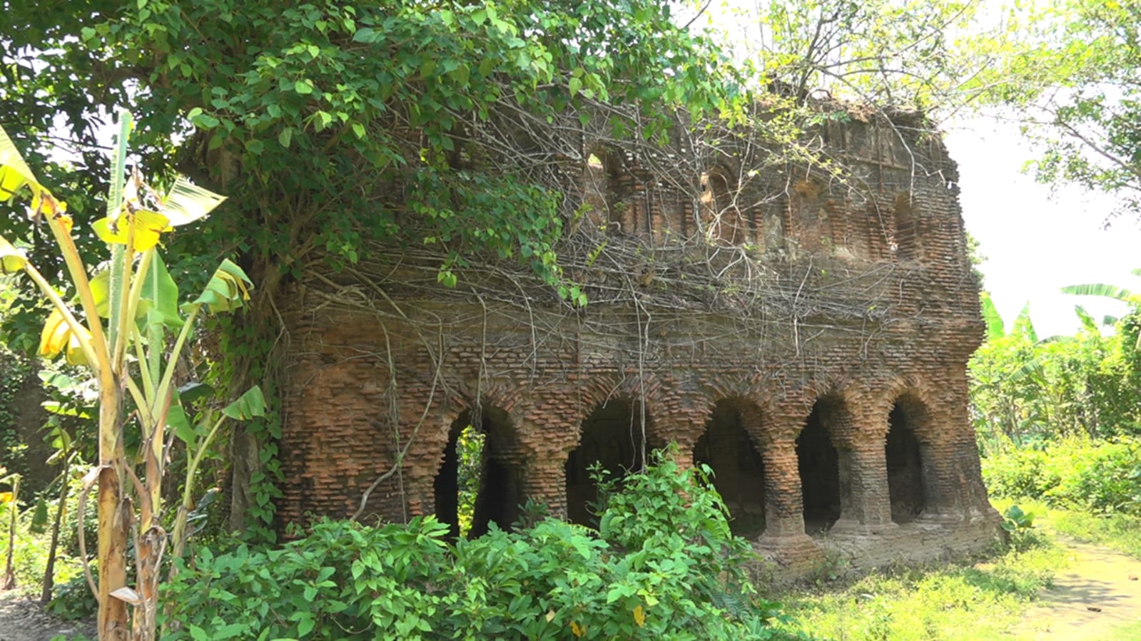 ছবি: বাসস