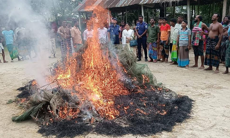 ভ্রাম্যমাণ আদালতের অভিযানে জাল ধ্বংস, কারাদণ্ড ও জরিমানা