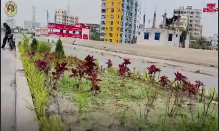 গাজীপুর বিআরটি এখন দৃষ্টিনন্দন