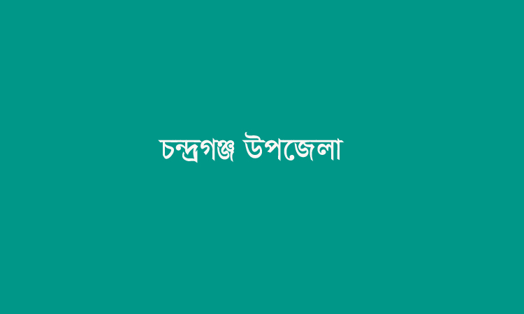 লক্ষ্মীপুরে ‘চন্দ্রগঞ্জ’ উপজেলা গঠন করে সরকারি গেজেট প্রকাশ