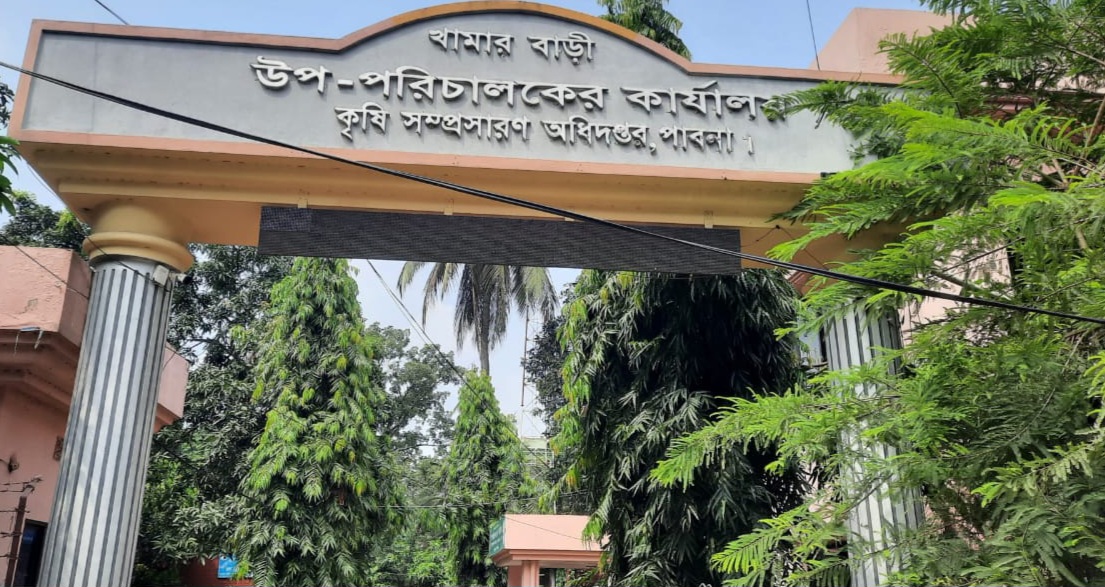 পাবনায় জিংক সমৃদ্ধ ধানের আবাদ বাড়ানোর উদ্যোগ