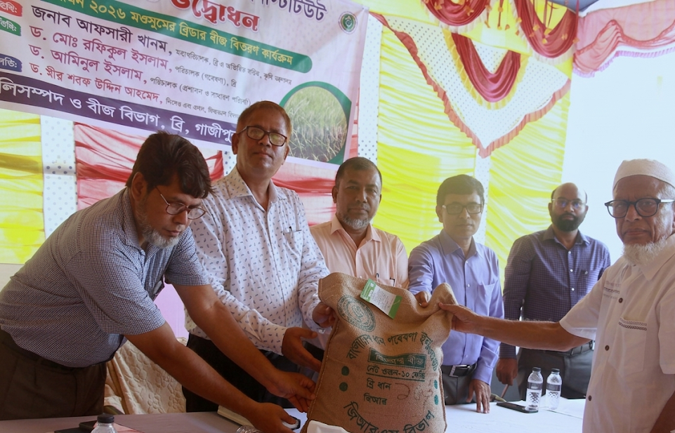 আমন মৌসুমে ব্রি উৎপাদিত ৯৭ টন ব্রিডার বীজ বিতরণ করা হবে