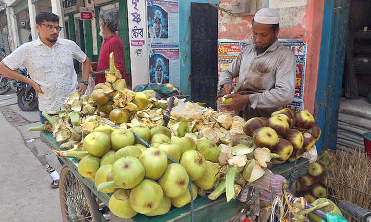 নাটোরের জনজীবনে তালের শাঁসে স্বস্তি