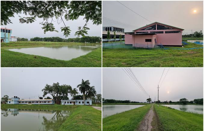 দিনাজপুরে মৎস্য সম্প্রসারণ খামারটির মৎস্য পোনা উৎপাদনে সফলতা অর্জন