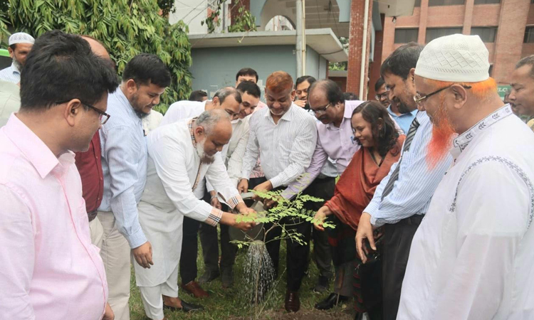 শেকৃবিতে জিয়াউর রহমান ফাউন্ডেশন আয়োজিত মাসব্যাপী বৃক্ষরোপণ কর্মসূচি