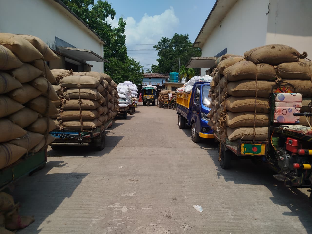 নড়াইলে সরকারি খাদ্য গুদামে ধান বিক্রি শুরু কৃষকদের