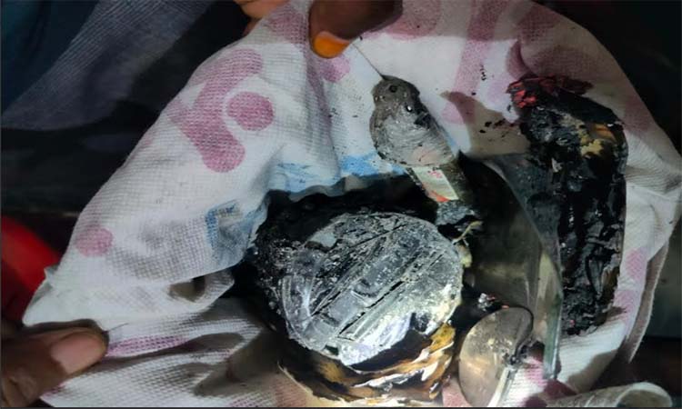 সাতক্ষীরায় বিএনপি’র কার্যালয়ে ককটেল বিস্ফোরণ