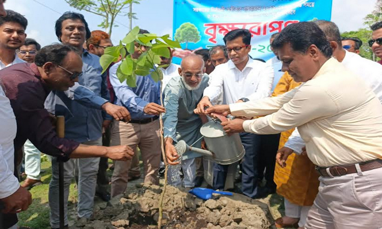 পিরোজপুরে বৃক্ষরোপণ কর্মসূচির উদ্বোধন