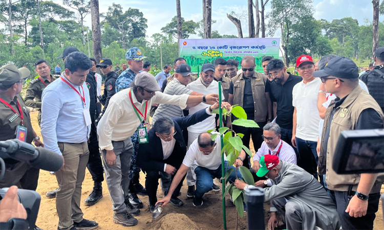 দেশব্যাপী ২৫ কোটি বৃক্ষরোপণ কর্মসূচির উদ্বোধন প্রধানমন্ত্রীর
