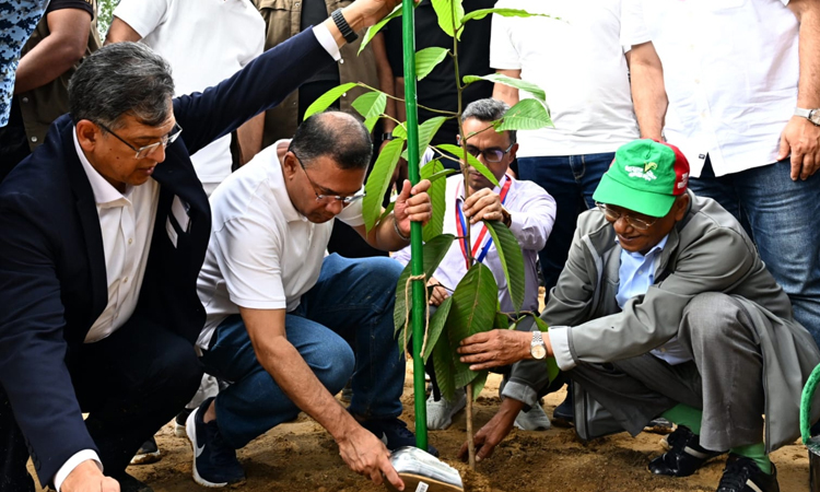 দেশব্যাপী ২৫ কোটি বৃক্ষরোপণ কর্মসূচির উদ্বোধন প্রধানমন্ত্রীর