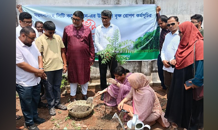 সবুজ নগরী গড়তে এক লাখ গাছ রোপণ করবে মসিক প্রশাসন  