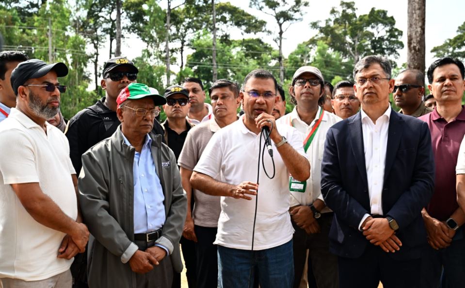 আসুন আমাদের সন্তানদের বুক ভরে শ্বাস নিতে একটি করে গাছ লাগাই : প্রধানমন্ত্রী