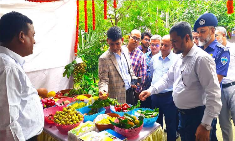 বান্দরবানে তিনদিনব্যাপী জাতীয় ফল মেলা শুরু