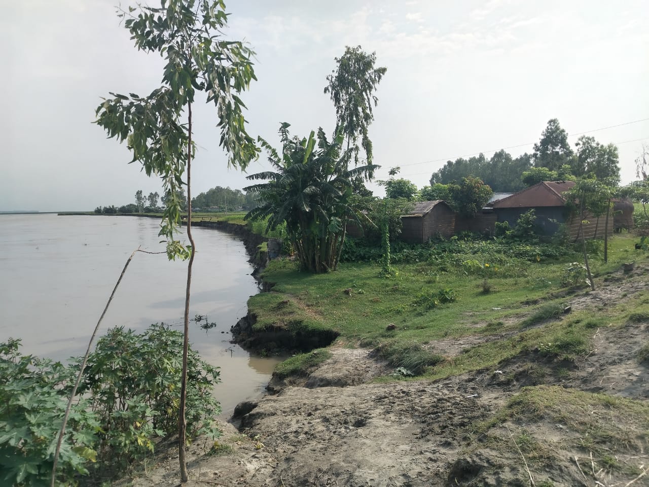 কুড়িগ্রামের ব্রহ্মপুত্রের ভাঙনে গৃহহীন ৩০ পরিবার