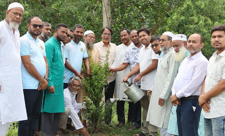 নাটোরে জিয়া পরিষদের উদ্যোগে বৃক্ষরোপণ  
