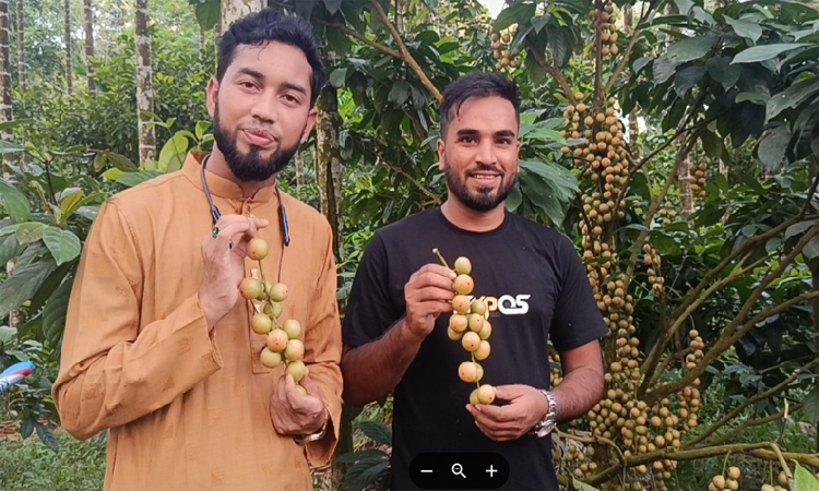 ছবি: বাসস