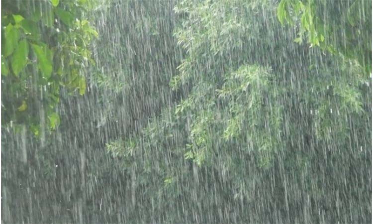 দেশজুড়ে বৃষ্টির সম্ভাবনা; কমতে পারে রাতের তাপমাত্রাও 