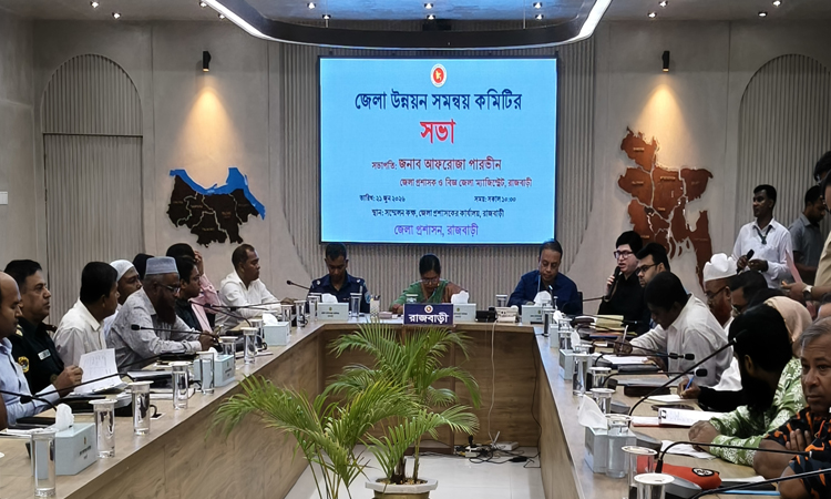 রাজবাড়ীতে মাসিক সমন্বয় সভায় জনসেবার মানোন্নয়নের তাগিদ