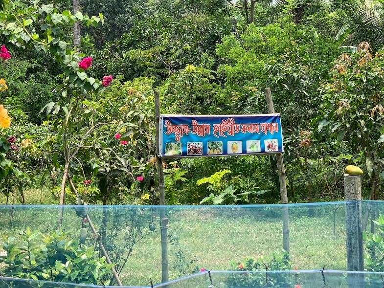 গ্রামবাসীকে স্বনির্ভর হওয়ার বার্তা দিচ্ছে টুটুল-পারভীনার স্বপ্নের খামার 