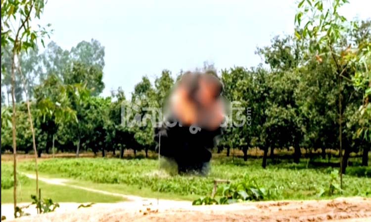 দিনাজপুরে দু’টি কার্তুজ ধ্বংস করল সেনাবাহিনী 