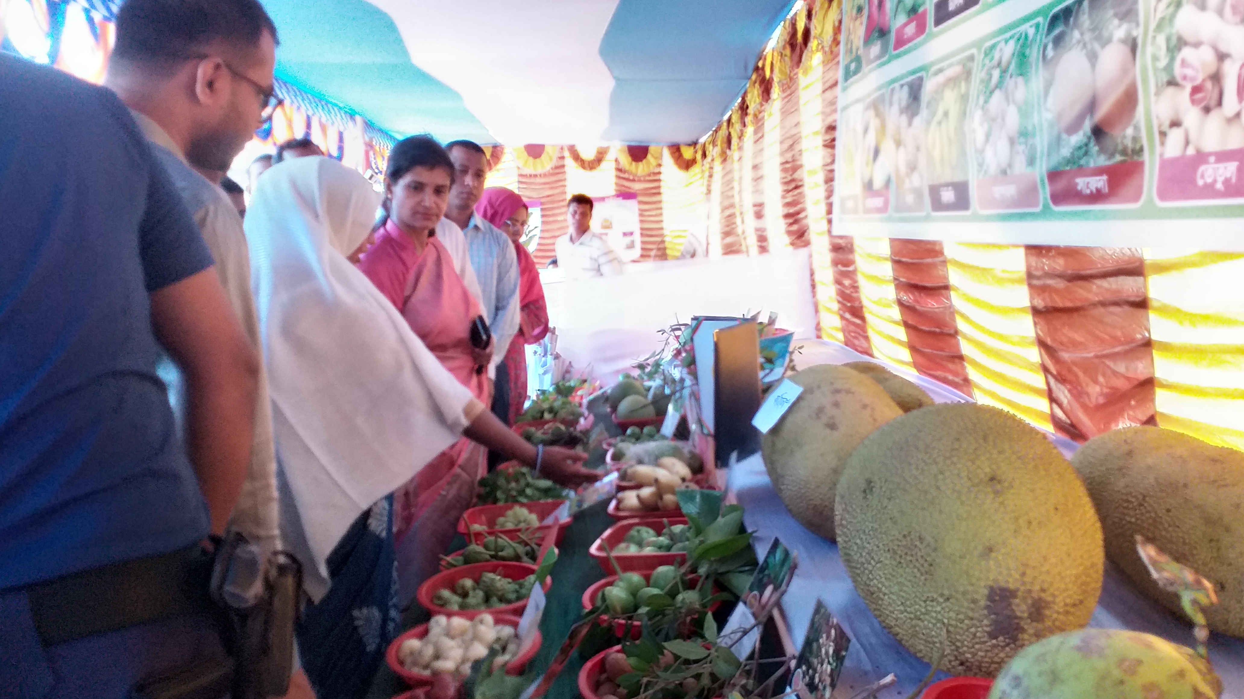 মেহেরপুরে তিন দিনব্যাপী ফল মেলা 