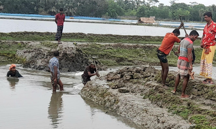 রামপালে প্রতিমন্ত্রীর নির্দেশে খালের বাঁধ অপসারণ