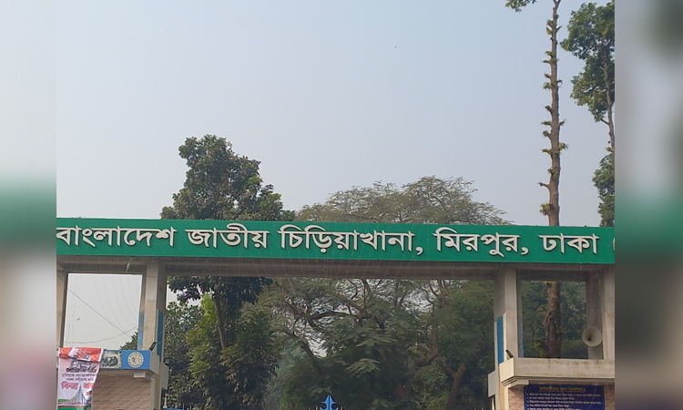 জাতীয় চিড়িয়াখানায় নতুন বন্যপ্রাণীর সংযোজন 